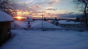 Winter, 2014, Lodi NJ